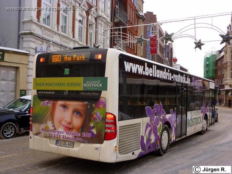 PI DL 482-24,dielinie,JN.jpg